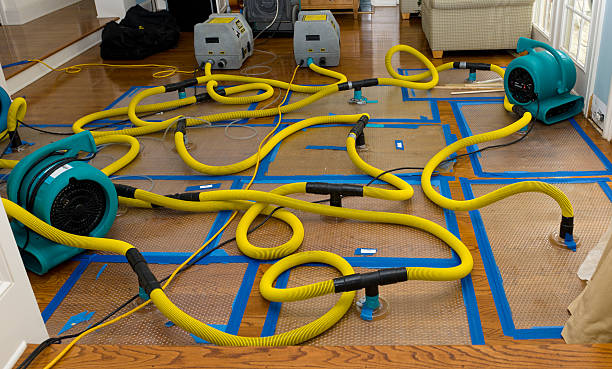 Professional Sewage Cleanup technician working in Knoxville, TN